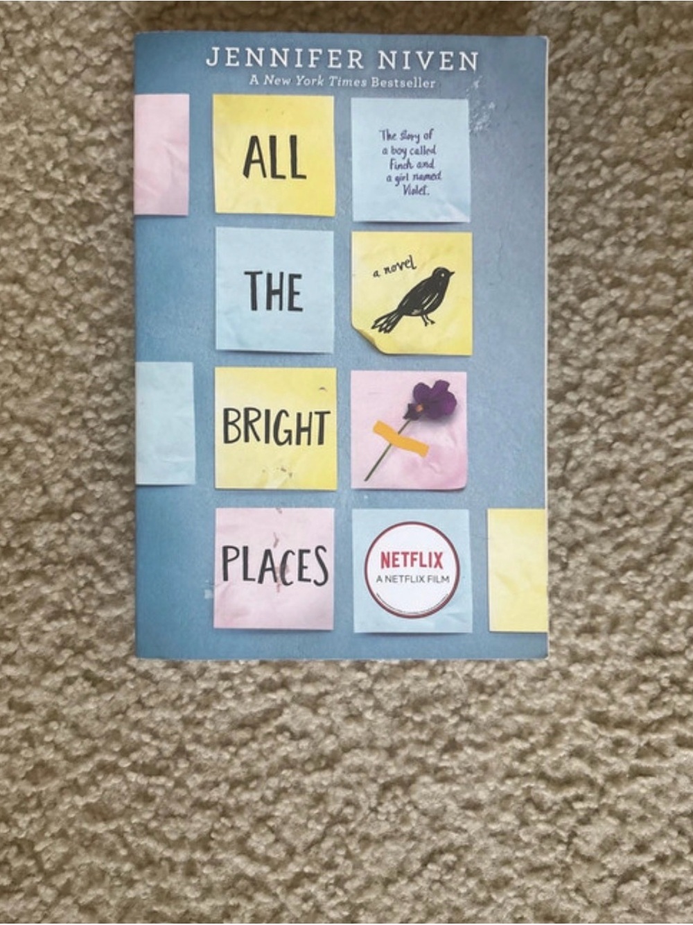 'All the Bright Places' Paperback Book - Blue Cover